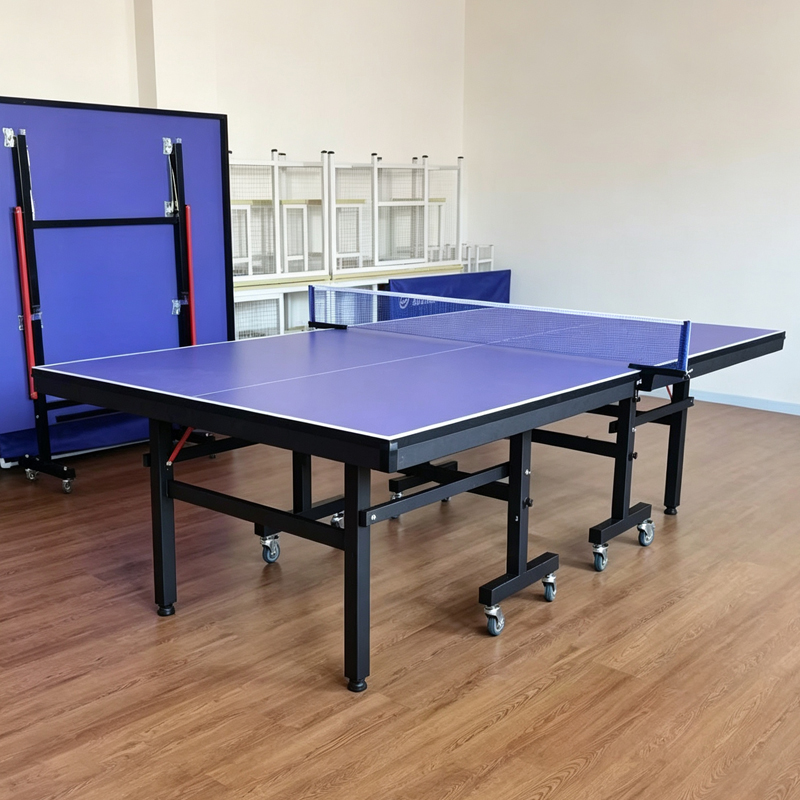 Table Tennis Training - High Quality International Standard Indoor Foldable